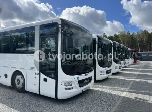 Kierowca autobusu - przewóz pracowników